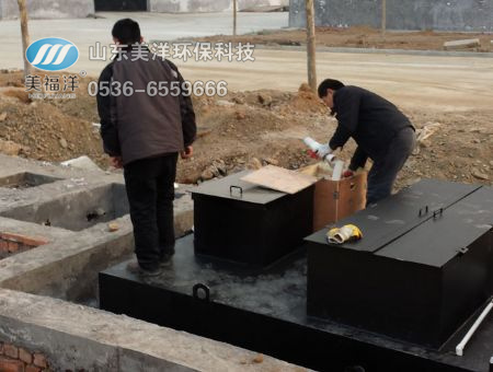 Wenling Laiwu Precision Forging Technology Co., Ltd. domestic sewage treatment project 